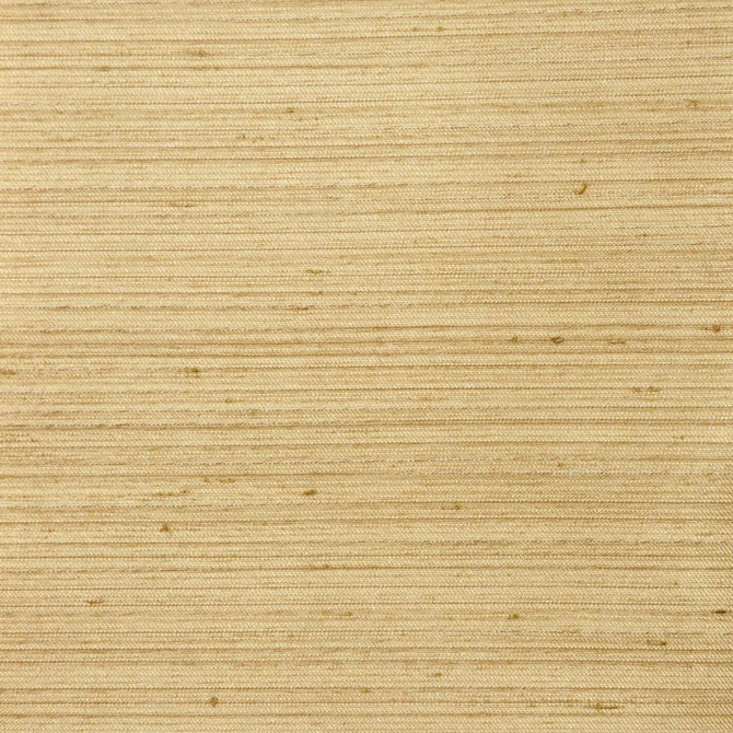 Colonial Natural by RM CoCo Fabric Final Draft 100% Polyester See Sample 0 Horizontal: 0 and Vertical: 0 55 - Fabric Carolina -
