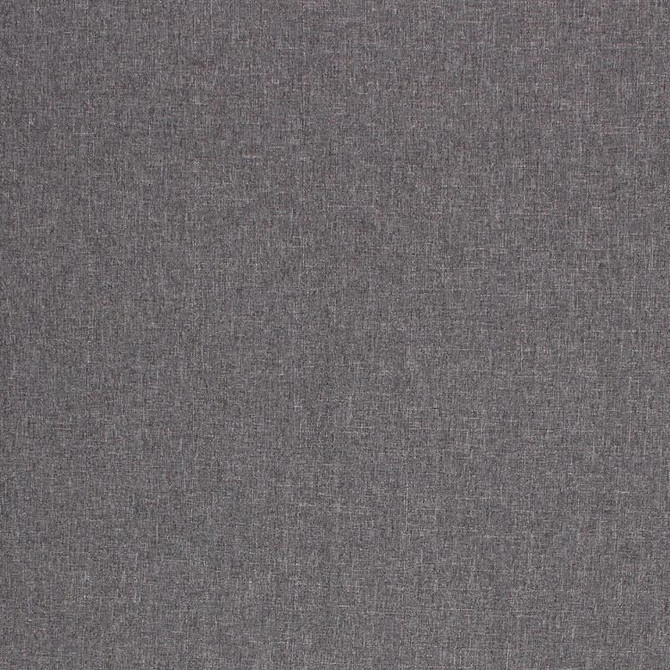 Monte Carlo Pewter by RM CoCo Fabric