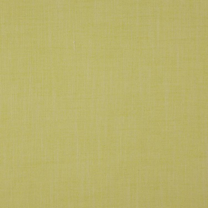 Strata Palm by RM CoCo Fabric