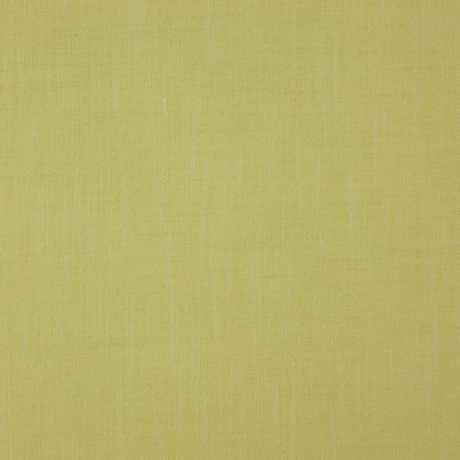 Strata Palm by RM CoCo Fabric