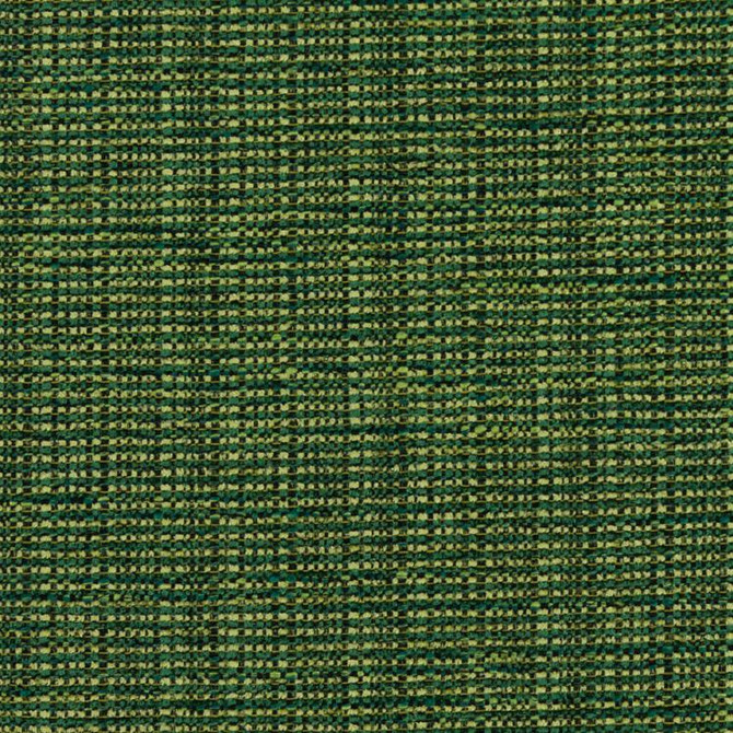 Bronco Foliage by RM CoCo Fabric Modern Textures 100% Polyester Horizontal: 0 and Vertical: 0 58 - Fabric Carolina -
