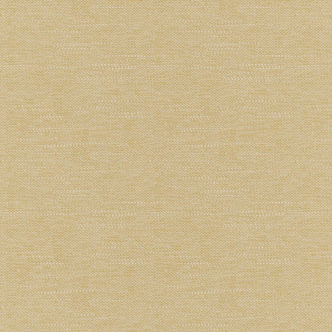 Capistrano Rattan by RM CoCo Fabric Capistrano Book 100% Polyester See Sample 0 Horizontal: 0 and Vertical: 0 56.299 - Fabric Carolina -