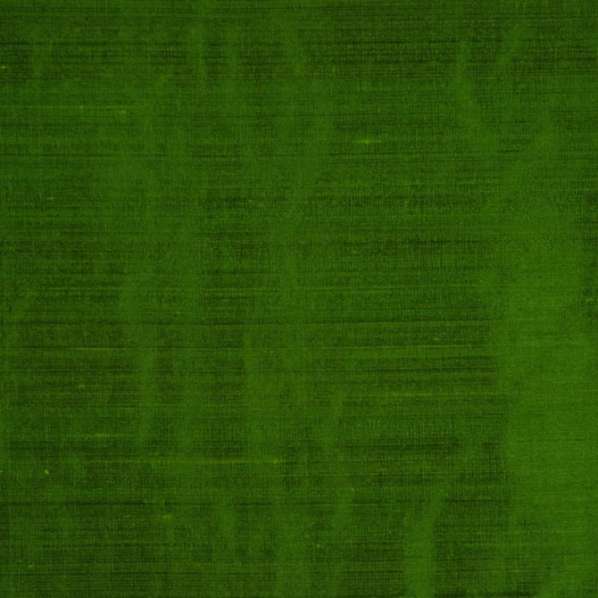 RM DUPIONI PARROT by RM CoCo Fabric Dupioni by RM COCO 100% Silk See Sample 0 Horizontal: 0 and Vertical: 0 54 - Fabric Carolina -