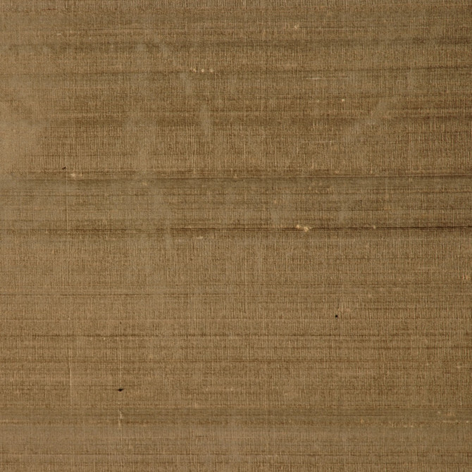Rm Dupioni Sage by RM CoCo Fabric Dupioni by RM COCO 100% SILK Horizontal: 0 and Vertical: 0 54 - Fabric Carolina -