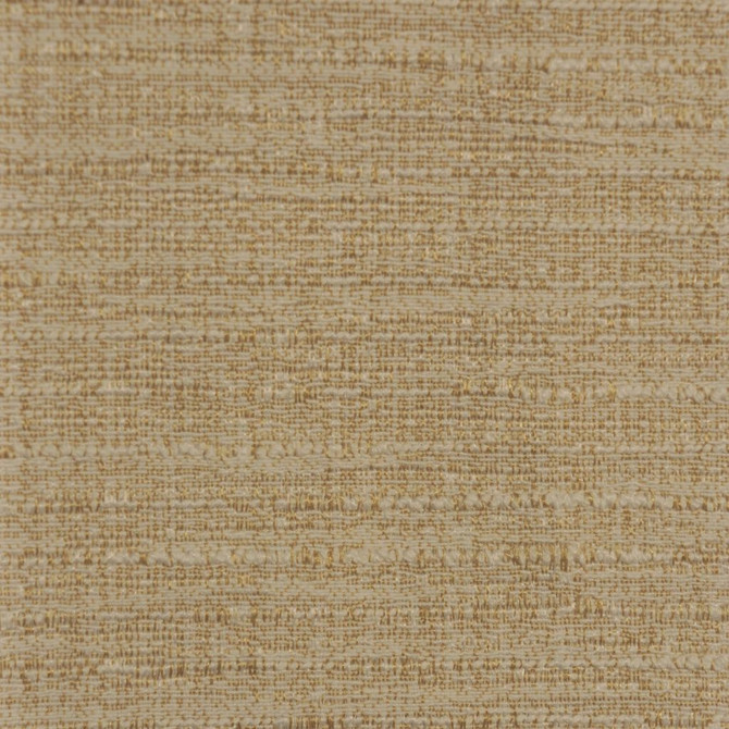 TAIL WIND Canvas by RM CoCo Fabric