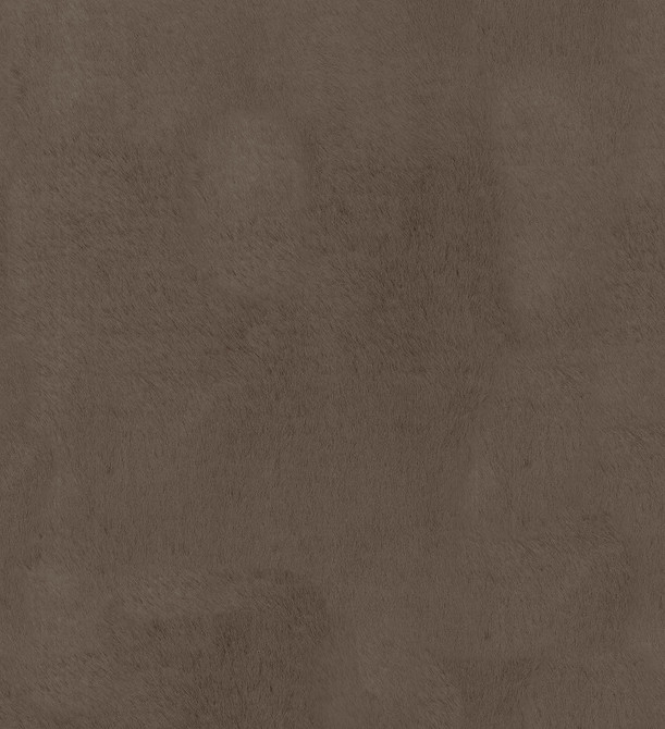 Furocious Bear 404773 by PKL Studio Fabric - 100%Polyester China 30000 Horizontal: 0 and Vertical: 0 57 - Fabric Carolina -