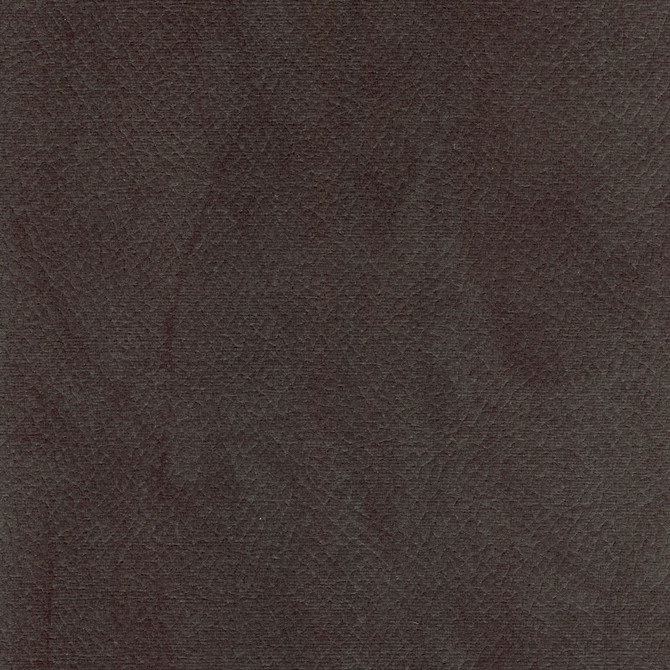 Degraw Graphite by Magnolia Fabric - 100% Poly China 95000 Horizontal: 0 and Vertical: 0 56" - Fabric Carolina -