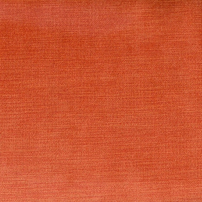 June Apricot by Magnolia Fabric - 90Poly/10Nyl China 100000 Horizontal: 0 and Vertical: 0 55" - Fabric Carolina -