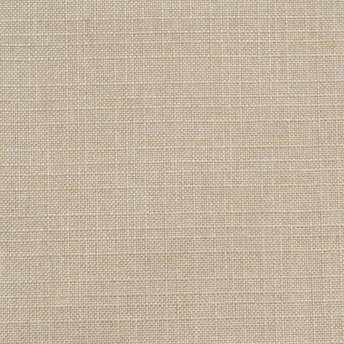 Ruzgar Beige by Magnolia Fabric - 100% Poly China 55000 Horizontal: 0 and Vertical: 0 56" - Fabric Carolina -
