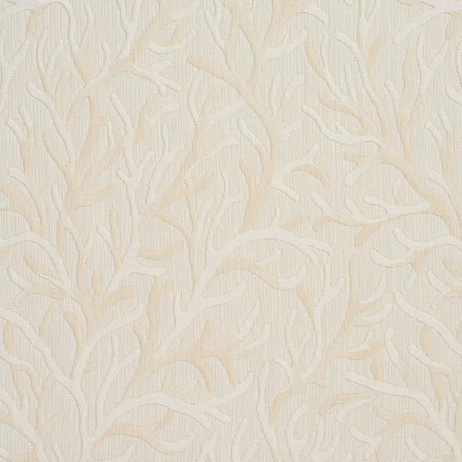1929 Champagne Meadow by Charlotte Fabric Naturally Naturals III & Ring Book Page #96 52% Cotton, 48% Polyester Italy Exceeds 60,000 Wyzenbeek Rubs (Heavy Duty) </p><p>Repeat: Horizontal: 12.5" x Vertical: 12.5" 54 Inches - Fabric Carolina -