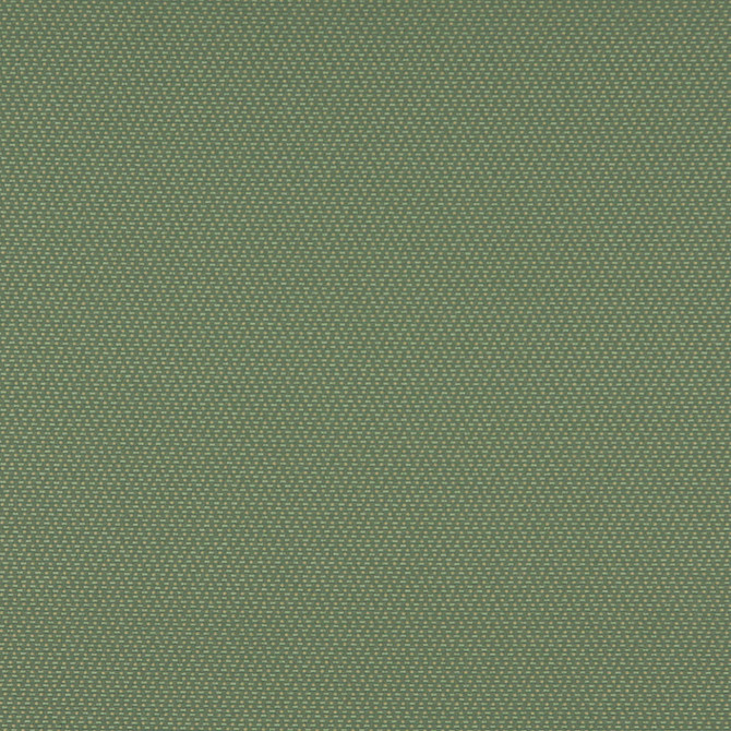 3745 Meadow by Charlotte Fabric Decorative Durables XII & Ring Book Page 35A 52% Olefin, 48% Polyester Made In USA Exceeds 150,000 Wyzenbeek Rubs (Heavy Duty) </p><p>Repeat: Horizontal: .5" x Vertical: .5" 54 Inches - Fabric Carolina -