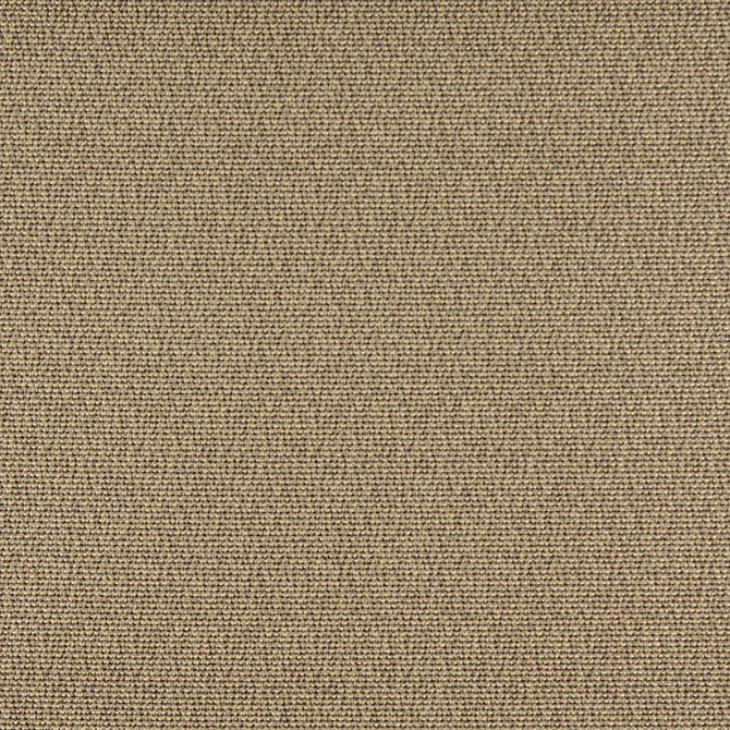 3827 Truffle by Charlotte Fabric Decorative Durables XI 69% Olefin, 31% Polyester Made In USA Exceeds 150,000 Wyzenbeek Rubs (Heavy Duty) No Repeat 54 Inches - Fabric Carolina -