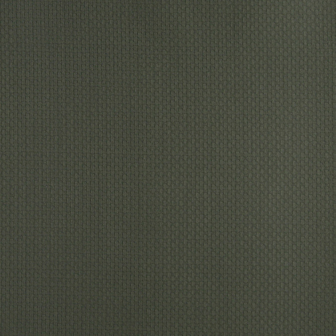 4340 Alpine by Charlotte Fabric Uptown Jacquards V 55% Cotton, 45% Polyester Asia Exceeds 70,000 Wyzenbeek Rubs (Heavy Duty) Horizontal: .5" x Vertical: .5" 54 Inches - Fabric Carolina -