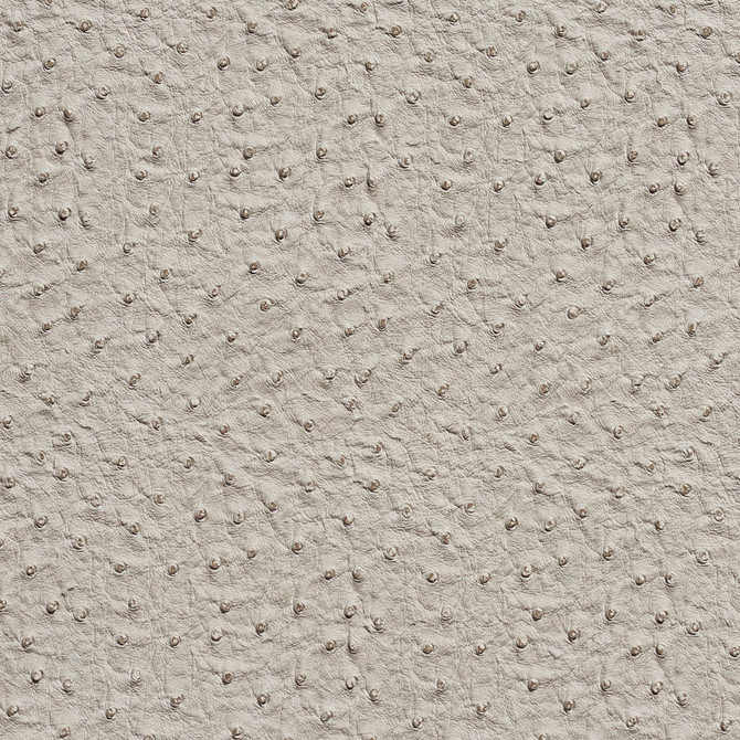 7233 Fog by Charlotte Fabric Exotics 100% Vinyl, 34oz. Asia Exceeds 200,000 Wyzenbeek Rubs (Heavy Duty) </p><p>Repeat: 54 Inches - Fabric Carolina -