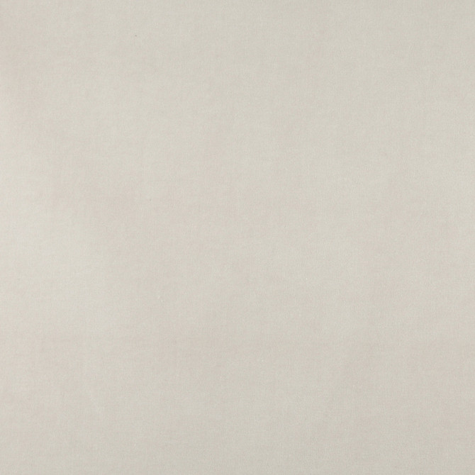 10000-01 by Charlotte Fabric Cotton Velvet 100% Cotton, Velvet Made In USA Exceeds 100,000 Wyzenbeek Rubs (Heavy Duty) No Repeat 54 Inches - Fabric Carolina -