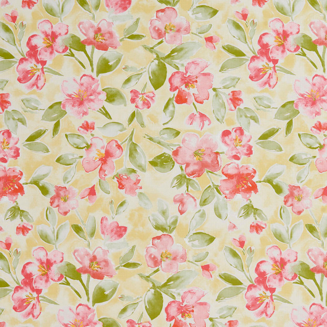 20500-01 by Charlotte Fabric Prints 100% Polyester Asia Exceeds 100,000 Wyzenbeek Rubs (Heavy Duty) Horizontal: 27" x Vertical: 27" 54 Inches - Fabric Carolina -