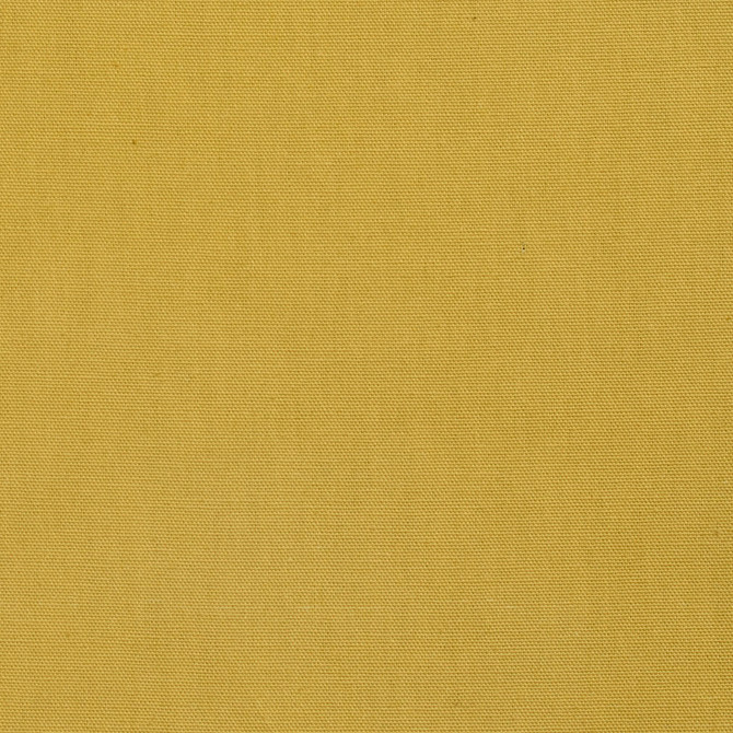 3883 Citrus by Charlotte Fabric Cotton Duck 100% Cotton 12 oz. Preshrunk Canvas Duck Made In USA Exceeds 60,000 Wyzenbeek Rubs (Heavy Duty) No Repeat 54 Inches - Fabric Carolina -