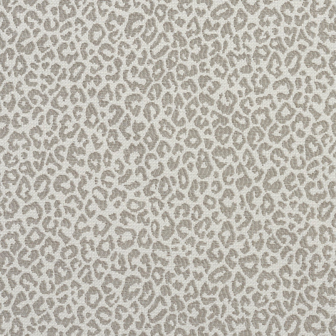 1594 Stone by Charlotte Fabric Ring Book Page #16A 75% Rayon, 25% Polyester Asia Exceeds 70,000 Wyzenbeek Rubs (Heavy Duty) Random 54 Inches - Fabric Carolina -