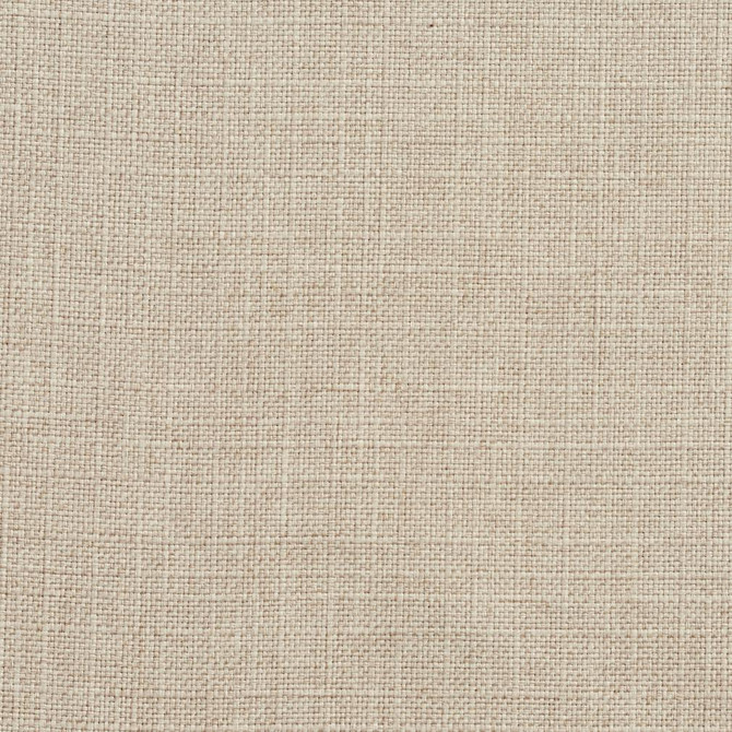 3925 Flax by Charlotte Fabric Textures Vol. 2 100% Woven Polyester Asia Exceeds 120,000 Wyzenbeek Rubs (Heavy Duty) </p><p>Repeat: No Repeat 54 Inches - Fabric Carolina -