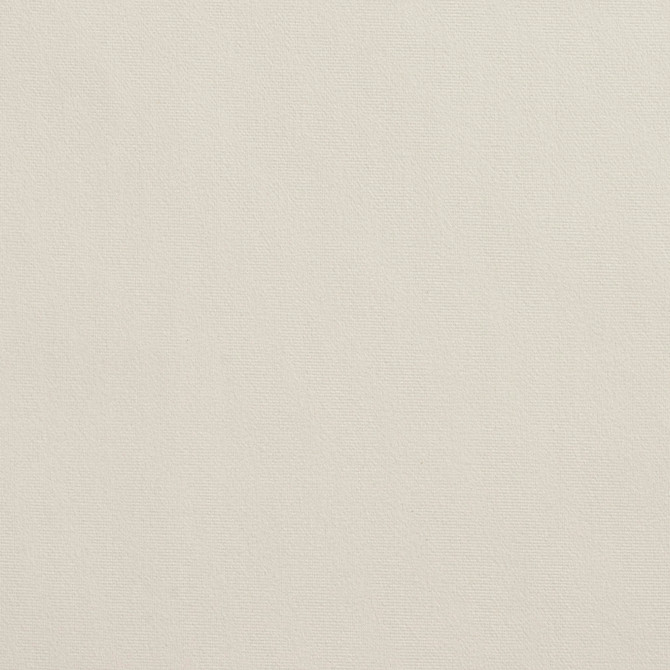 2223 Ivory by Charlotte Fabric Microfiber 100% Woven Polyester Asia Exceeds 100,000 Wyzenbeek Rubs (Heavy Duty) </p><p>Repeat: 54 Inches - Fabric Carolina -