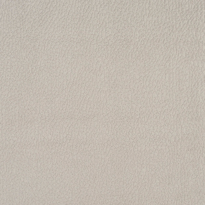 2924 Dolphin by Charlotte Fabric Ring Book Page #4A 100% Woven Polyester Asia Exceeds 180,000 Wyzenbeek Rubs (Heavy Duty) No Repeat 54 Inches - Fabric Carolina -
