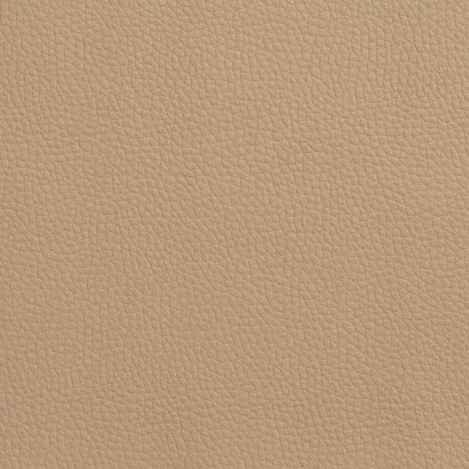 V160 Desert by Charlotte Fabric 4-Way Stretch 100% Vinyl Asia Exceeds 100,000 Wyzenbeek Rubs (Heavy Duty) No Repeat 54 Inches - Fabric Carolina -