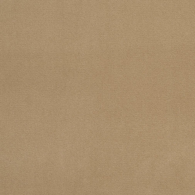 20940-14 by Charlotte Fabric Crypton Woven Velvet 100% Woven Polyester Made In USA Exceeds 200,000 Wyzenbeek Rubs (Heavy Duty) No Repeat 54 Inches - Fabric Carolina -