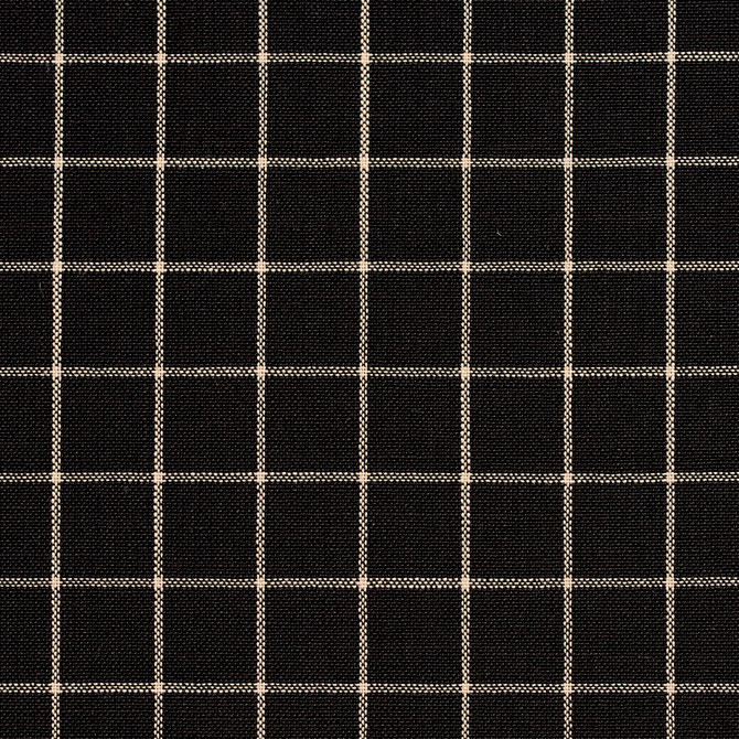 D124 Onyx Checkerboard by Charlotte Fabric Clubhouse Collection 100% Woven Polyester Asia Exceeds 120,000 Wyzenbeek Rubs (Heavy Duty) Horizontal: 1" x Vertical: 1" 54 Inches - Fabric Carolina -