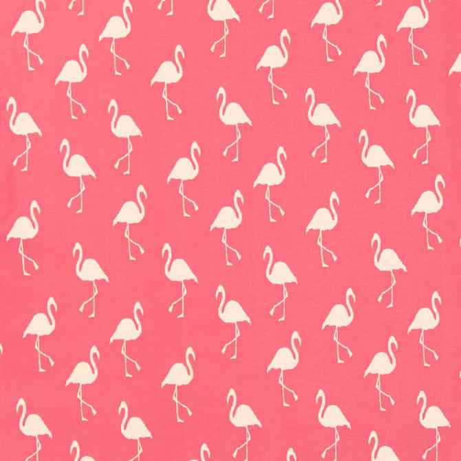 I9000-36 by Charlotte Fabric Internet Exclusive 100% Woven Polypropylene Turkey Exceeds 100,000 Wyzenbeek Rubs (Heavy Duty) Horizontal: 9" x Vertical: 14" 54 Inches - Fabric Carolina -