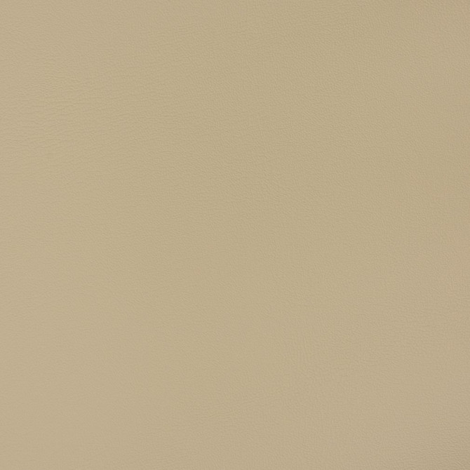 V393 Taupe by Charlotte Fabric Automotive Vinyl 100% Virgin Vinyl, 30oz. Asia Exceeds 220,000 Wyzenbeek Rubs (Heavy Duty) No Repeat 54 Inches - Fabric Carolina -