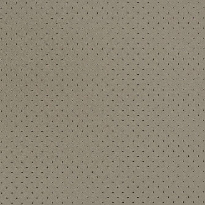 V410 Grey Perforated by Charlotte Fabric Automotive Vinyl 100% Virgin Vinyl, 30oz. Asia Exceeds 220,000 Wyzenbeek Rubs (Heavy Duty) No Repeat 54 Inches - Fabric Carolina -