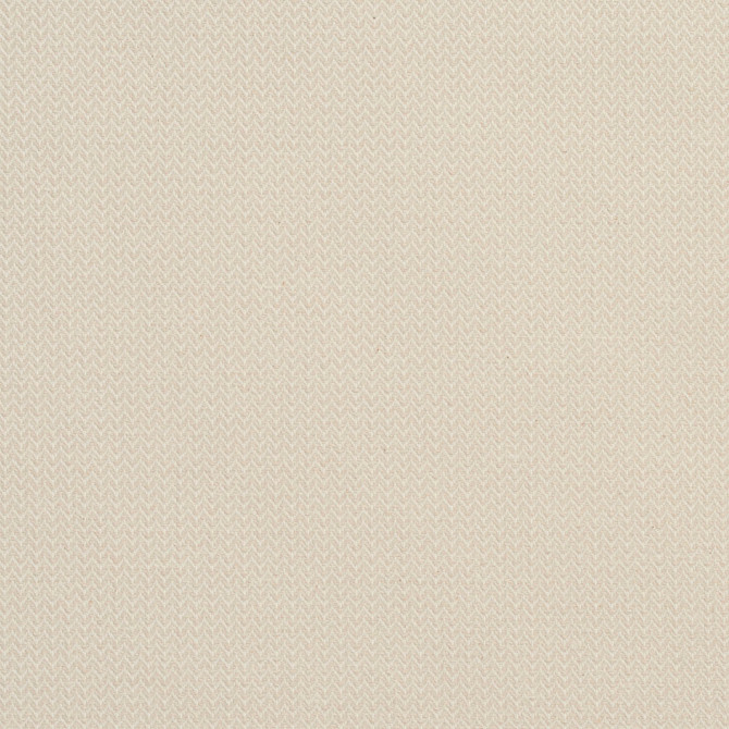 CB700-13 by Charlotte Fabric White 100% Cotton Spain Exceeds 64,000 Wyzenbeek Rubs (Heavy Duty) No Repeat 54 Inches - Fabric Carolina -