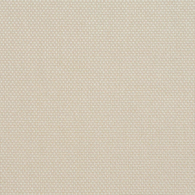 CB700-34 by Charlotte Fabric Ecru 100% Woven Polyester Asia Exceeds 120,000 Wyzenbeek Rubs (Heavy Duty) No Repeat 54 Inches - Fabric Carolina -