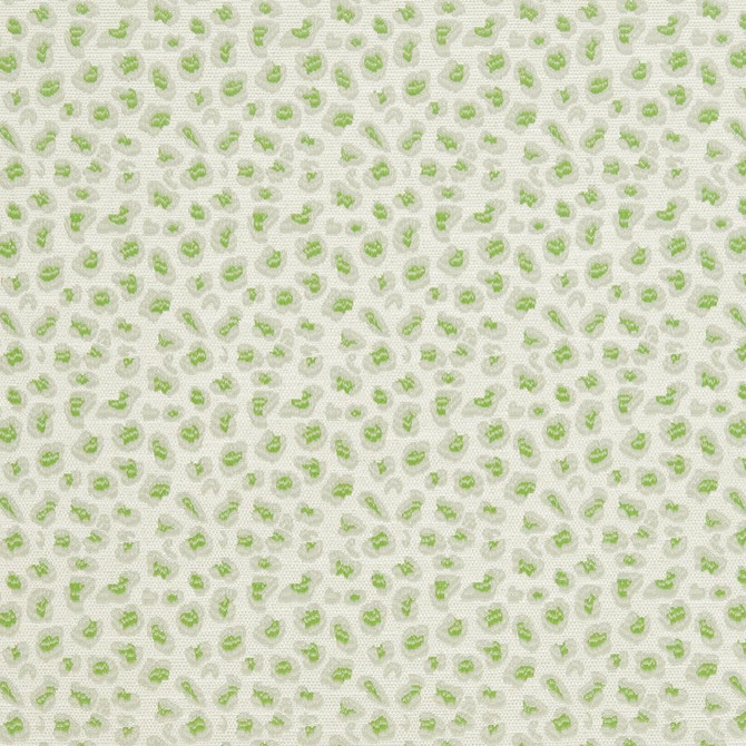 CB700-311 by Charlotte Fabric Shades of Spring 100% Woven Polyester Asia Exceeds 120,000 Wyzenbeek Rubs (Heavy Duty) </p><p>Repeat: Horizontal: 3.5" x Vertical: 3.5" 54 Inches - Fabric Carolina -