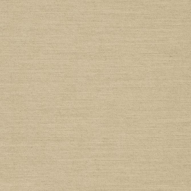 D1007 Linen by Charlotte Fabric Prints & Wovens 100% Solution Dyed Woven Acrylic Made In USA Exceeds 60,000 Wyzenbeek Rubs (Heavy Duty) No Repeat 54 Inches - Fabric Carolina -