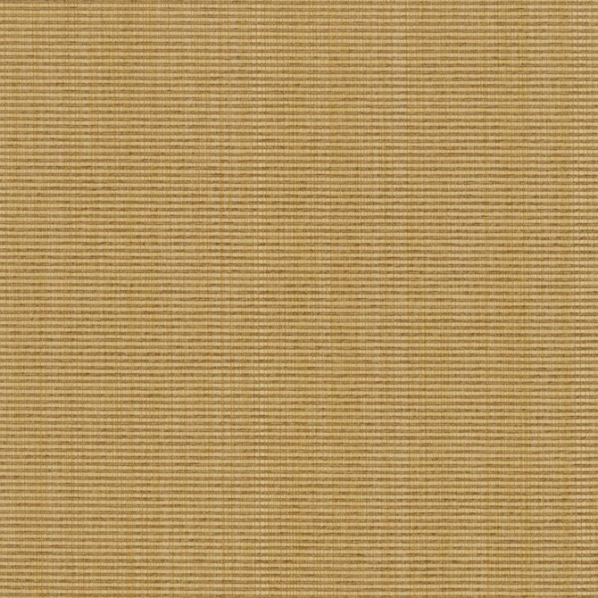 R263 Wheat by Charlotte Fabric Ringbook Page #13b 51% Cotton, 30% Polyester, 19% Rayon Asia Exceeds 120,000 Wyzenbeek Rubs (Heavy Duty) </p><p>Repeat: No Repeat 54 Inches - Fabric Carolina -