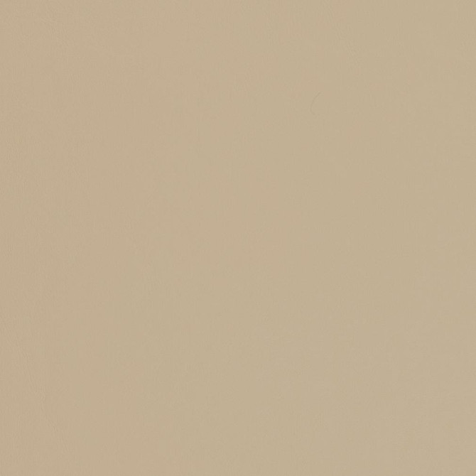 V451 Sandstone by Charlotte Fabric Marine Vinyl 100% Vinyl, 33oz. Asia Exceeds 220,000 Wyzenbeek Rubs (Heavy Duty) </p><p>Repeat: 54 Inches - Fabric Carolina -