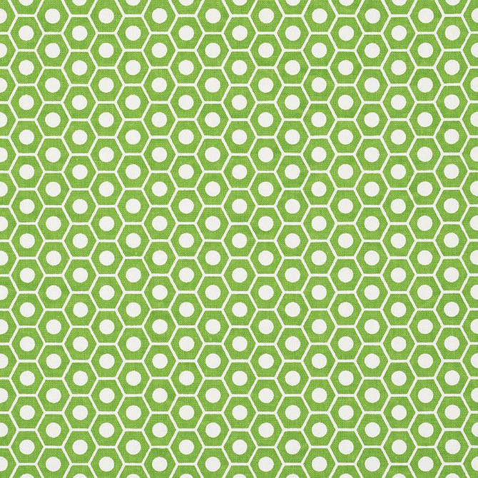 Queen B Green 177075 by Schumacher Fabric Studio Bon 1.25" - Fabric Carolina -