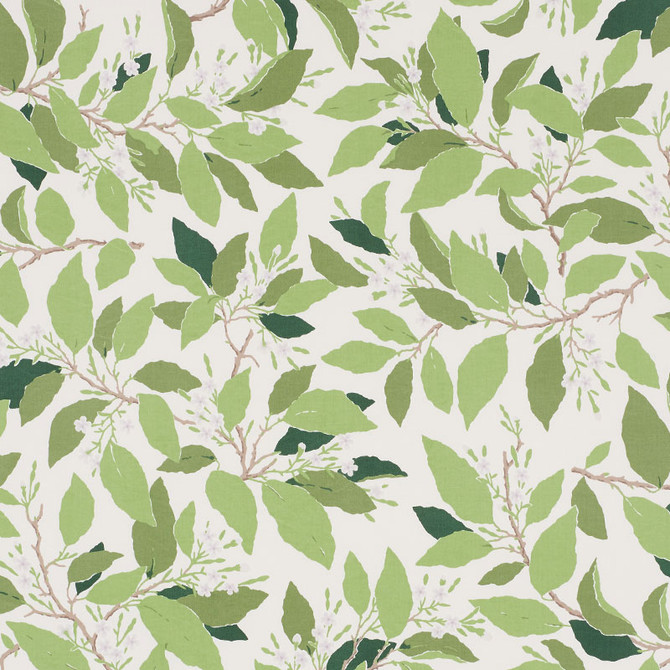 Dogwood Leaf Ivory 176520 by Schumacher Fabric MILES REDD See Sample PAKISTAN WASHABLE </p><p>Repeat: Horizontal: 27" (69CM) and Vertical: 32" (81CM) 54" (137 CM) - Fabric Carolina -