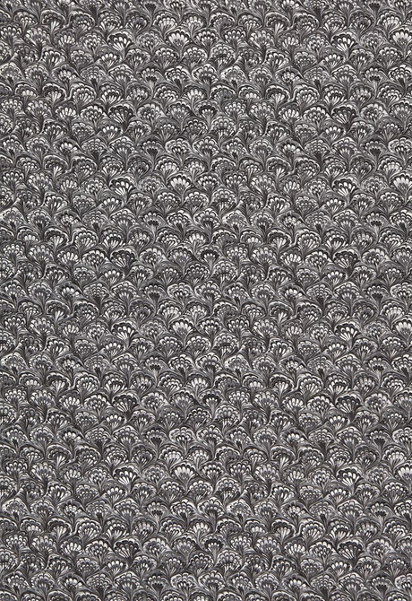 Capulet Carrara 175660 by Schumacher Fabric Martyn-Lawrence-Bullard 100% Cotton - Horizontal: 13.5 and Vertical: 8.75 54 - Fabric Carolina -