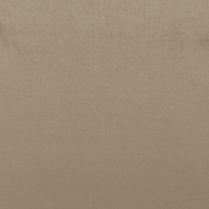 Sophia Velvet Mushroom 68161 by Schumacher Fabric SOPHIA VELVET COTTON 61% MODAL VISCOSE 39% NETHERLANDS WYZENBEEK 20,000 </p><p>Repeat: Horizontal: and Vertical: 55 - Fabric Carolina -