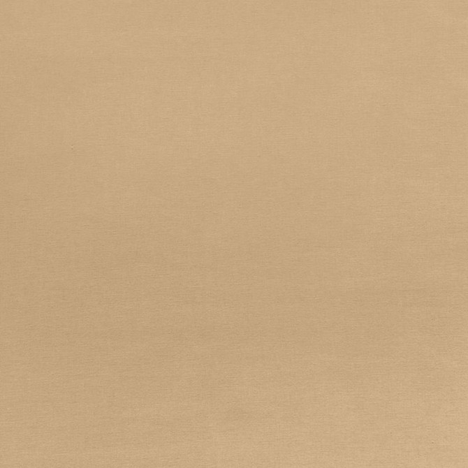 Sophia Velvet Biscuit 68136 by Schumacher Fabric SOPHIA VELVET COTTON 61% MODAL VISCOSE 39% NETHERLANDS WYZENBEEK 20,000 </p><p>Repeat: Horizontal: and Vertical: 55 - Fabric Carolina -