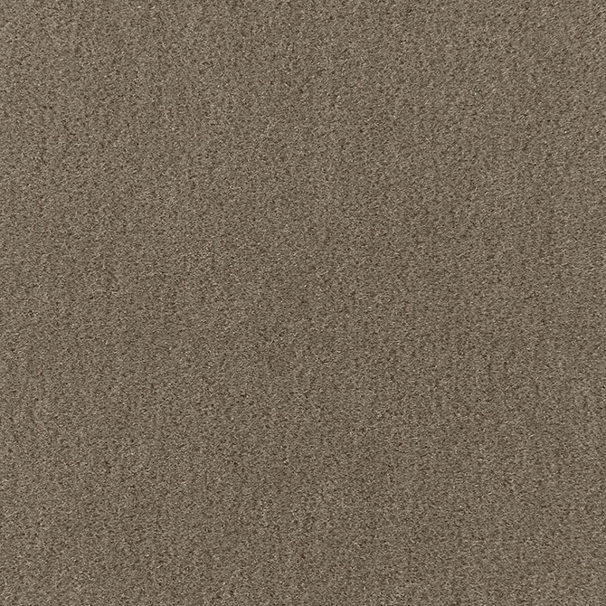 Palermo Mohair Velvet Thyme 64930 by Schumacher Fabric MOHAIR VELVET PROGRAM MOHAIR 51% COTTON 49% NETHERLANDS MARTINDALE 90,000 </p><p>Repeat: Horizontal: and Vertical: 55 - Fabric Carolina -