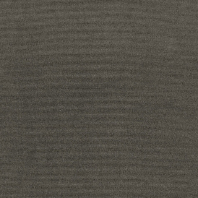 Gainsborough Velvet Carbon 64535 by Schumacher Fabric GAINSBOROUGH VELVET See Sample NETHERLANDS HEAVY DUTY </p><p>Repeat: Horizontal: - and Vertical: - 55" WIDE (140CM) - Fabric Carolina -