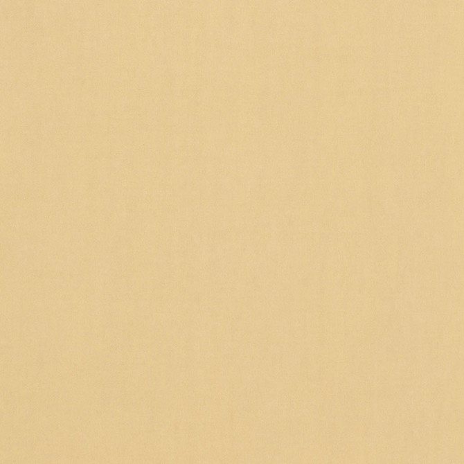Tristan Cotton Weave Chamois 64508 by Schumacher Fabric ESSENTIAL PLAINS / LINEN & COTTON See Sample ITALY . </p><p>Repeat: Horizontal: - and Vertical: - 54" WIDE (137CM) - Fabric Carolina -