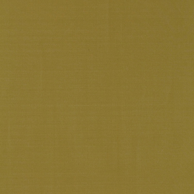 Masaccio Taffeta Lichen 63910 by Schumacher Fabric MIRAGE / TEXTURES & PLAINS POLYESTER 100% INDIA </p><p>Repeat: Horizontal: and Vertical: 54 - Fabric Carolina -