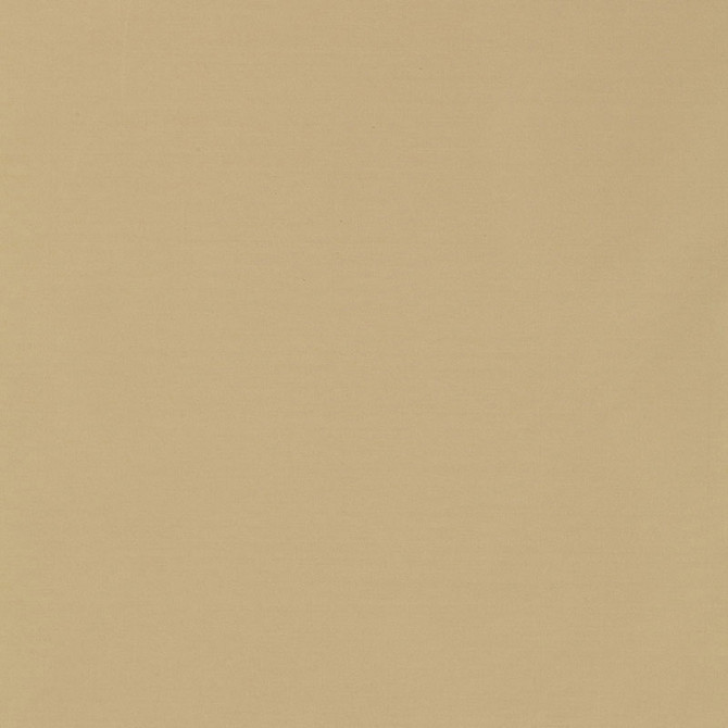 Masaccio Taffeta Putty 63900 by Schumacher Fabric MIRAGE / TEXTURES & PLAINS POLYESTER 100% INDIA </p><p>Repeat: Horizontal: and Vertical: 54 - Fabric Carolina -