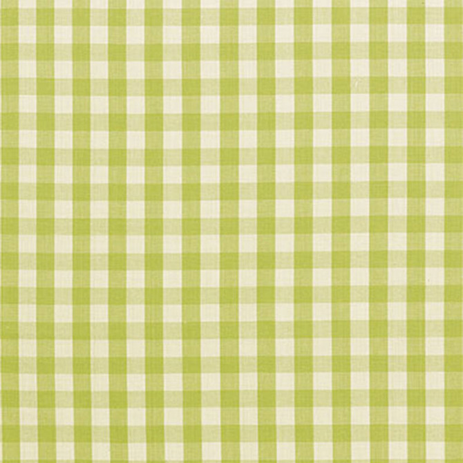 Elton Cotton Check Pear 63055 by Schumacher Fabric REVISITS OF POPULAR PATTERNS COTTON 100% INDIA MARTINDALE 7,500 </p><p>Repeat: Horizontal: 1 1/4" (3CM) and Vertical: 1 1/4" (3CM) 54 - Fabric Carolina -