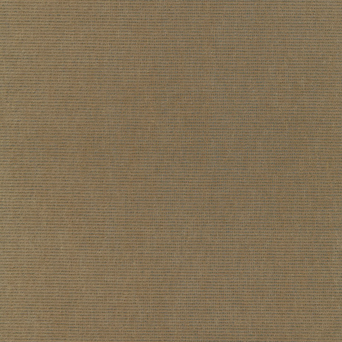 Chiaroscuro Velvet Mink 54885 by Schumacher Fabric ESSENTIAL VELVETS COTTON 55% MOHAIR 45% BELGIUM MARTINDALE 40,000 </p><p>Repeat: Horizontal: and Vertical: 54 - Fabric Carolina -