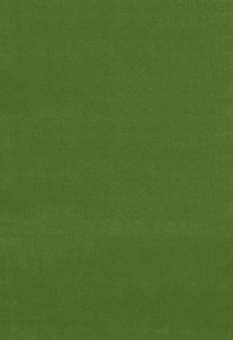 Gainsborough Velvet English Green 42870 by Schumacher Fabric CHROMA COTTON 100% NETHERLANDS WYZENBEEK 40,000 </p><p>Repeat: Horizontal: and Vertical: 55 - Fabric Carolina -